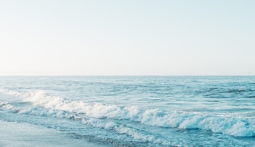 ウクレレについて